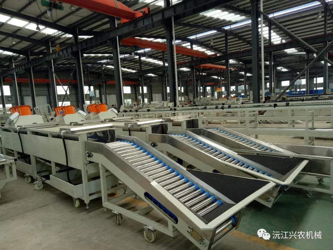 沅江興農(nóng)機(jī)械制造有限公司,沅江水果分選機(jī),沅江水果清洗機(jī),沅江水果打蠟機(jī)哪里好,沅江興農(nóng)機(jī) 沅江興農(nóng)機(jī)械制造有限公司,沅江水果分選機(jī),沅江水果清洗機(jī),沅江水果打蠟機(jī)哪里好,沅江興農(nóng)機(jī)